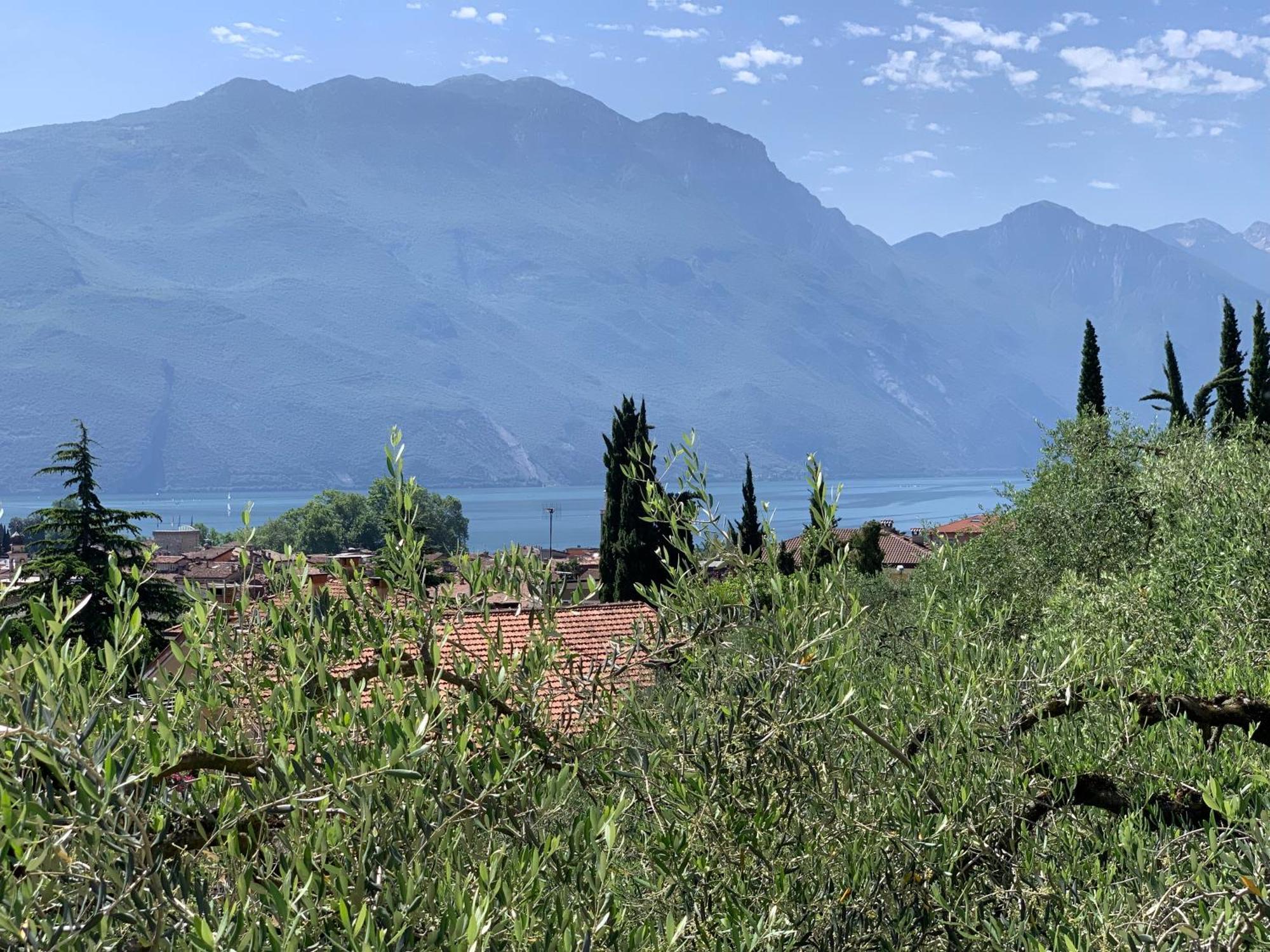 Aparthotel Englovacanze Riva del Garda Eksteriør bilde